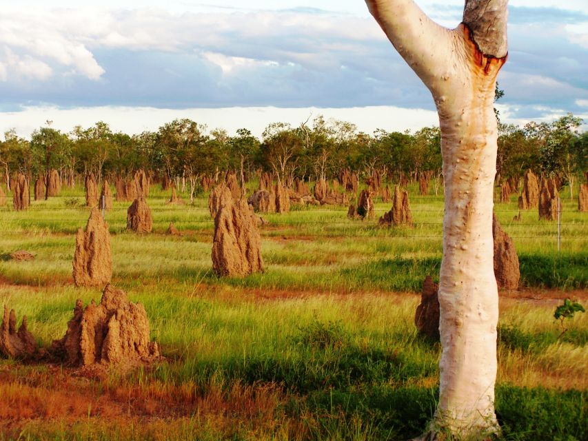 From Port Douglas: Atherton Tablelands Adventure - How the timing affects your day