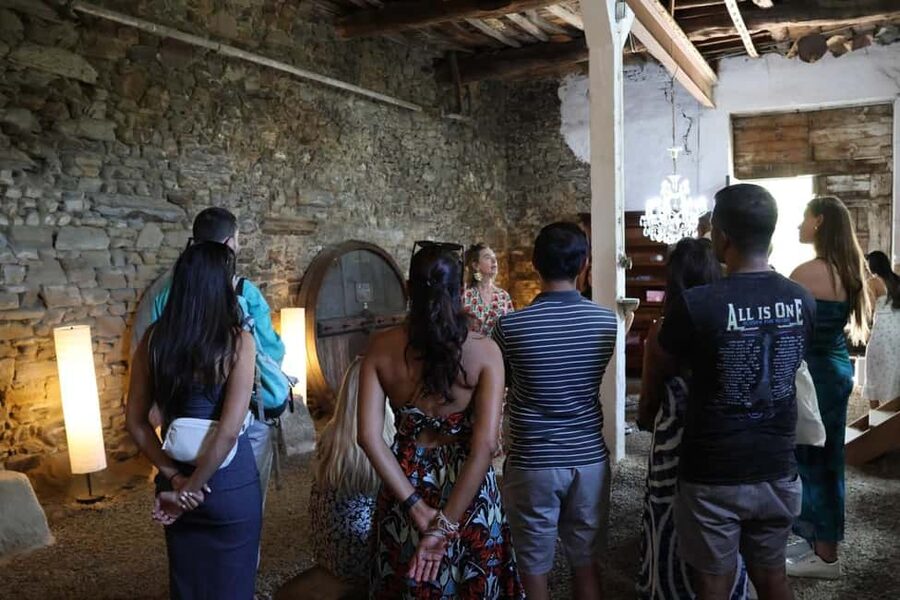From Porto: 2 Boutique Wineries w/ Winery Lunch & 1-h cruise - Should you book this Douro Valley day trip?