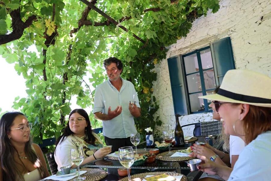From Porto: 2 Boutique Wineries w/ Winery Lunch & 1-h cruise - Pinhão from the road and from the river