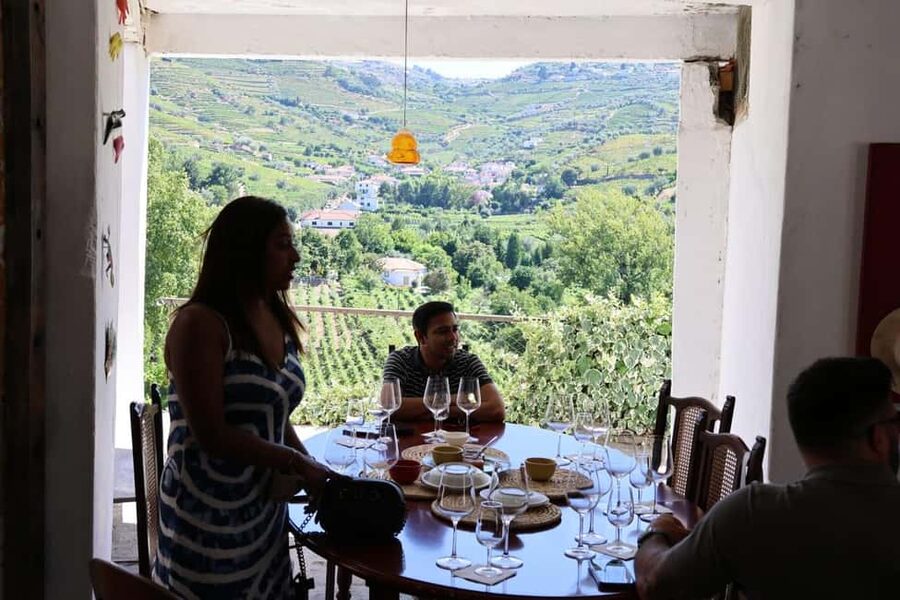 From Porto: 2 Boutique Wineries w/ Winery Lunch & 1-h cruise - A second tasting and the changing feel of the valley