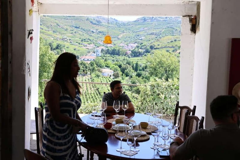 From Porto: 2 Boutique Wineries w/ Winery Lunch & 1-h cruise - Who should book this experience