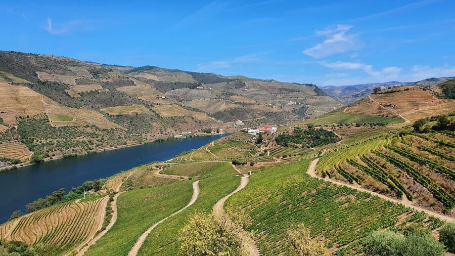 From Porto Day Douro Valley Wine Tour 2 Wine Tasting & Lunch - Seeing the vineyards from a rabelo boat