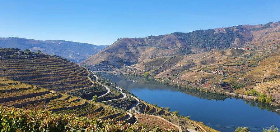 From Porto Day Douro Valley Wine Tour 2 Wine Tasting & Lunch - Guide quality and the small-group advantage