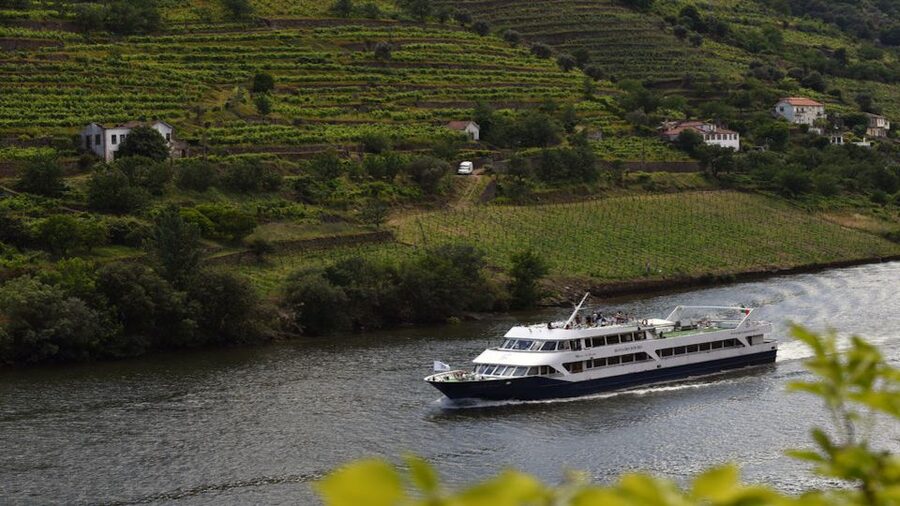 From Porto: Douro River Cruise, Winery Visit & Lunch - Régua, the Wine Capital of the Douro