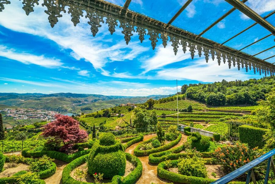 From Porto: Douro Valley w/ Boat Tour, Wine Tasting & Lunch - The one-hour Douro River cruise