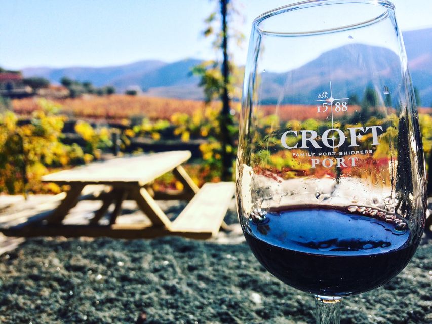 From Porto: Douro Valley w/ Boat Tour, Wine Tasting & Lunch - Guides, drivers, and the feel of the day