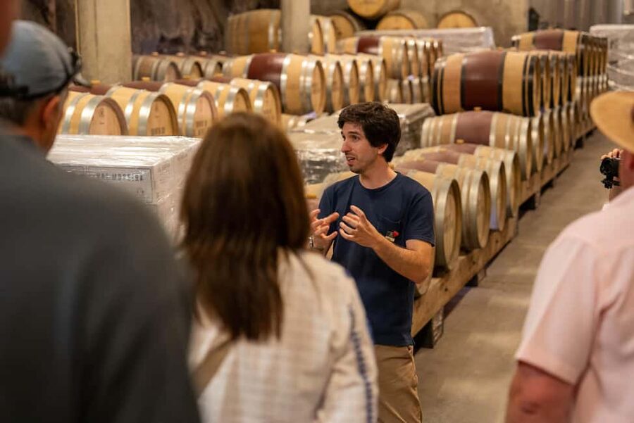 From Porto: Douro Valley Wine Tour with Lunch and Cruise - The guide can make or break the day