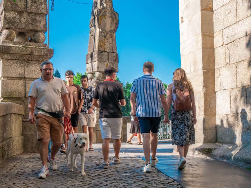 From Porto: Douro Valley Wine Tour with Lunch and Cruise - Transport, timing, and comfort