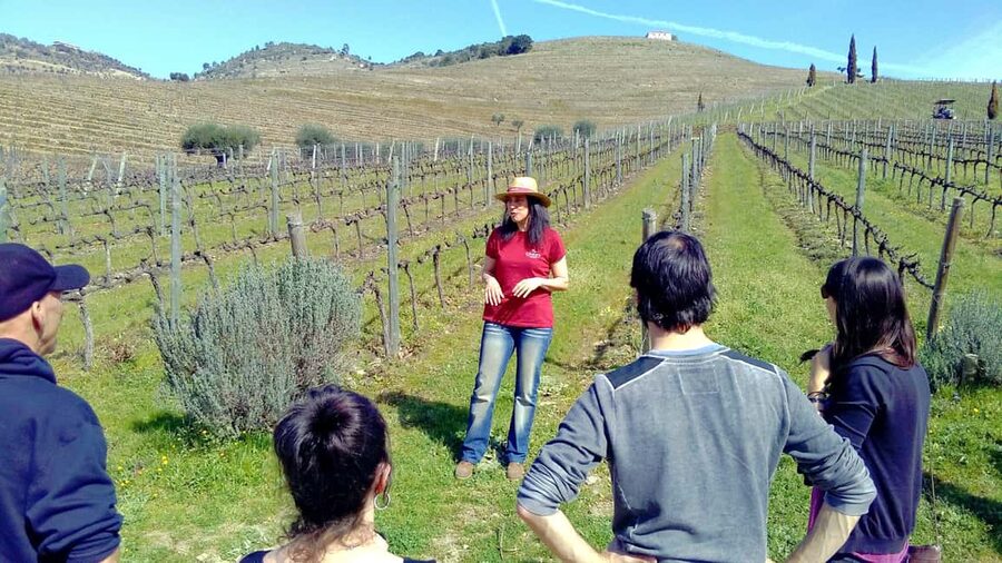 From Porto: Premium Douro Valley 4 Vineyards Tour with Lunch - Why this Douro day works so well