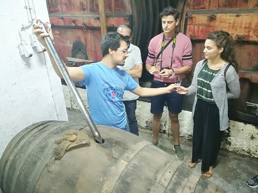 From Porto: Premium Douro Valley 4 Vineyards Tour with Lunch - The older producer and the olive oil tasting
