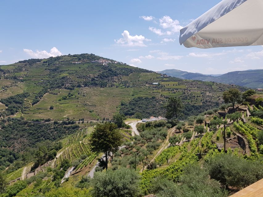 From Porto: Premium Douro Valley 4 Vineyards Tour with Lunch - Is $200 a fair price?