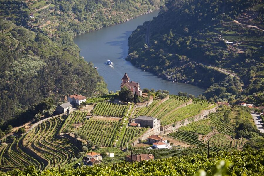 From Porto: Premium Douro Valley Small-Group Wine Tour - Practical details that can make the day better
