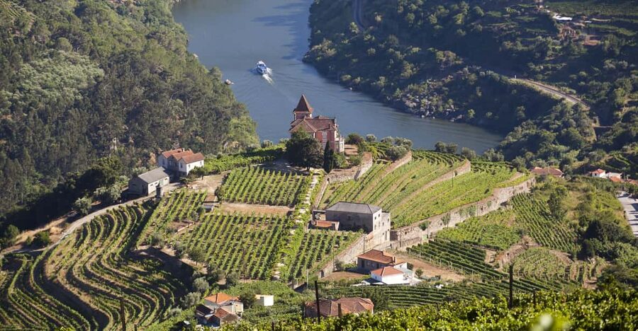 From Porto: Premium Douro Valley Small-Group Wine Tour - Why this Douro Valley tour works so well