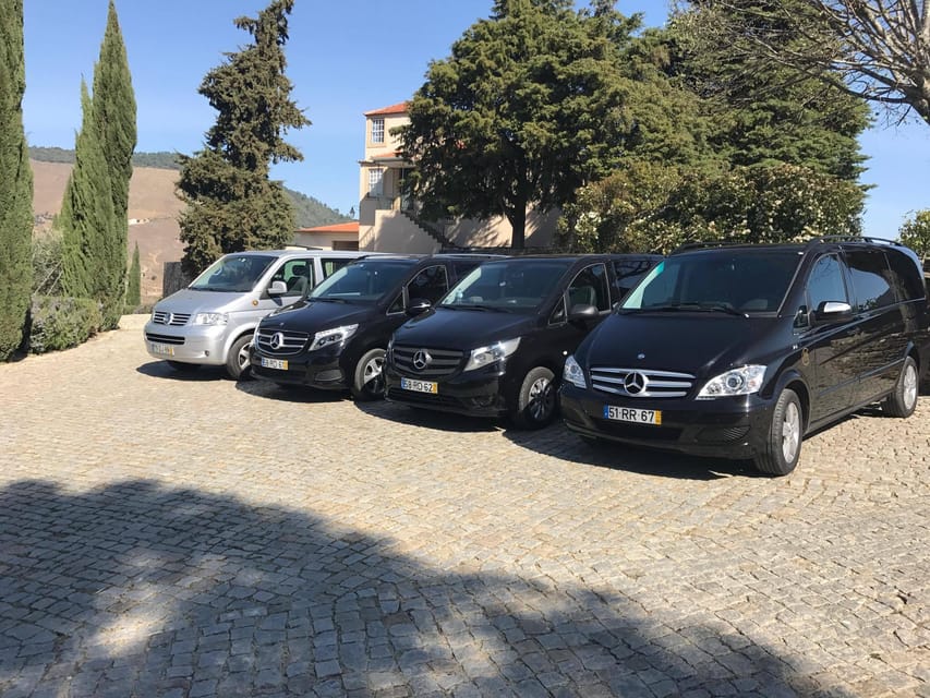 From Porto: Premium Douro Valley Small-Group Wine Tour - Who should book this full-day outing?
