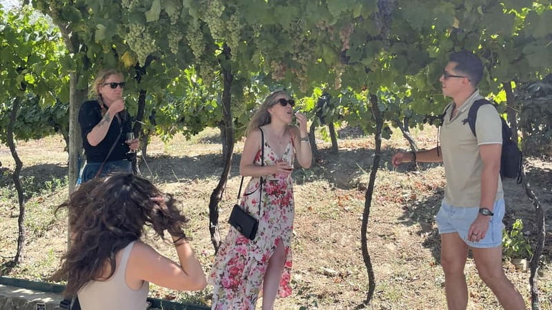 From Porto: Tastings at 2 Wineries, Chef's Lunch & Boat Tour - Guides, vans, and group atmosphere