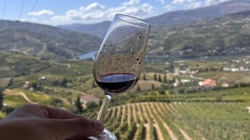 From Porto: Tastings at 2 Wineries, Chef's Lunch & Boat Tour - Should you book it?