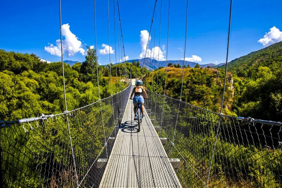 From Queenstown: 'Valley of the Vines' Wine and Bike Tour - From Queenstown to Arrowtown’s gold-mining streets