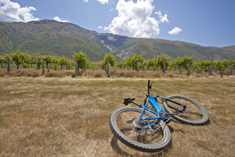 From Queenstown: 'Valley of the Vines' Wine and Bike Tour - Who will enjoy this seven-hour outing