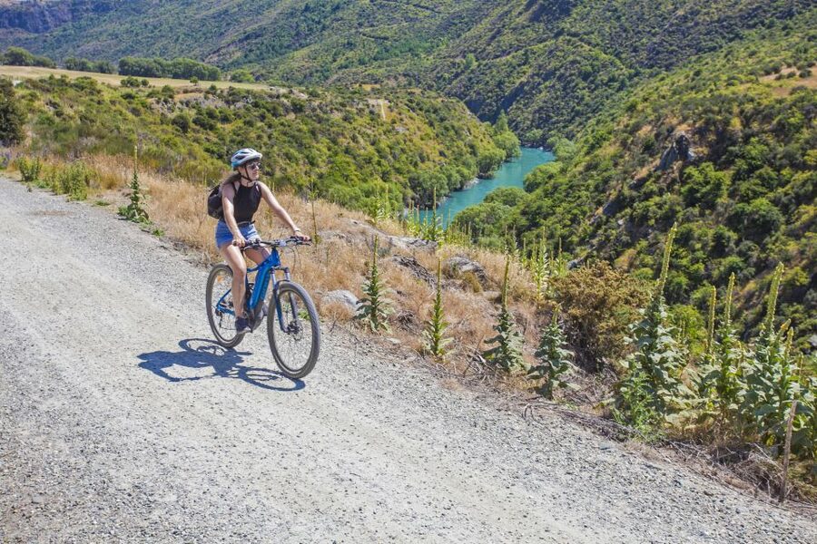 From Queenstown: 'Valley of the Vines' Wine and Bike Tour - Riding the Twin Rivers Trail for two to three hours