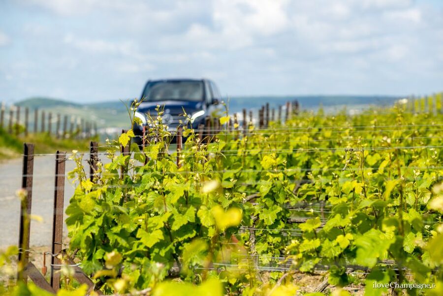 From Reims: Champagne and Family-Run Wineries Tour - The drive through Champagne country