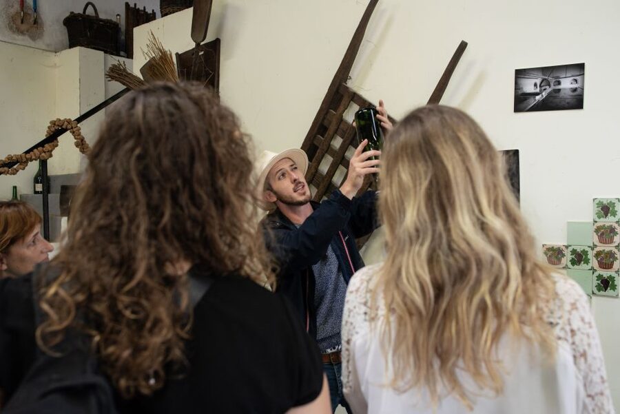 From Reims: Champagne and Family-Run Wineries Tour - First winery: how six tastings become a lesson