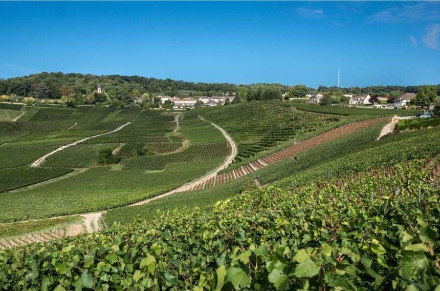 From Reims: Champagne Day Trip to 3 Family Domains & Lunch - Lunch in Épernay, with one point to clarify