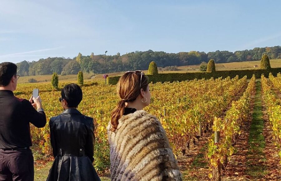From Reims: Champagne Day Trip to 3 Family Domains & Lunch - What the guide adds