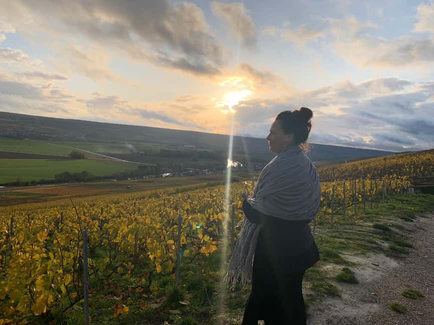 From Reims: Morning Champagne Tour and Tastings - Why small Champagne producers make this tour worthwhile