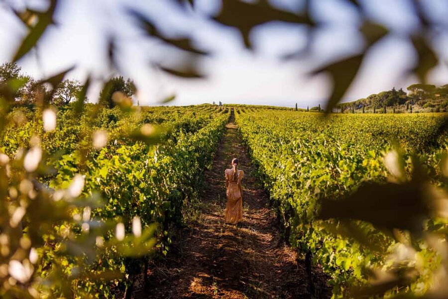 From Rome: Frascati Wine Region Tour with Wine Tasting - Leaving Rome for the Frascati vineyards