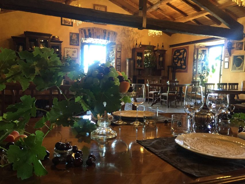 From Rome: Frascati Wine Region Tour with Wine Tasting - Walking a 300-year-old family vineyard