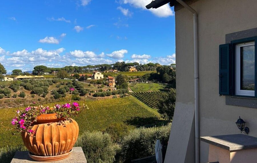From Rome: Half-Day Frascati Wine Tour with Farmhouse Lunch - Who will enjoy this most