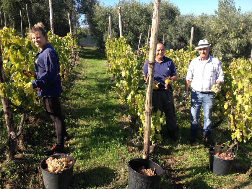 From Rome: Half-Day Frascati Wine Tour with Farmhouse Lunch - Walking through Frascati before the wine farm