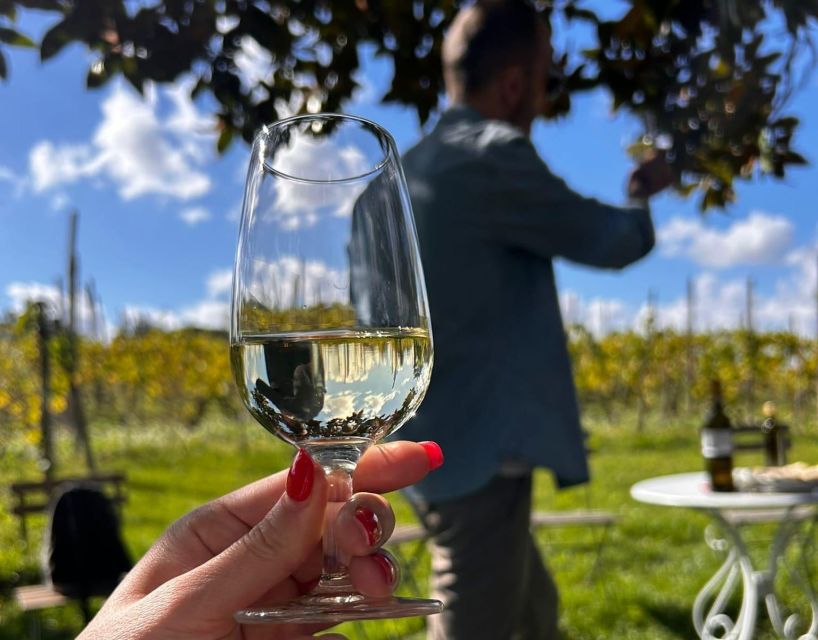 From Rome: Half-Day Frascati Wine Tour with Farmhouse Lunch - The family farmhouse and its old cellar