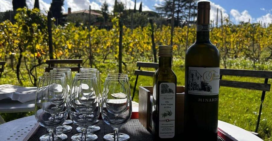 From Rome: Half-Day Frascati Wine Tour with Farmhouse Lunch - Meeting the guide at Frascati station