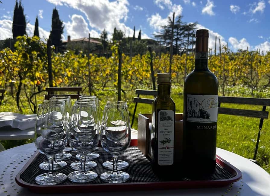 From Rome: Pasta Masterclass & Wine Tour in the Vineyard - Tasting Frascati Superiore in the old cellar