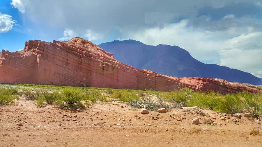 From Salta: Cafayate Day Trip with Wine Tasting - The Cafayate winery visit and Torrontés tasting