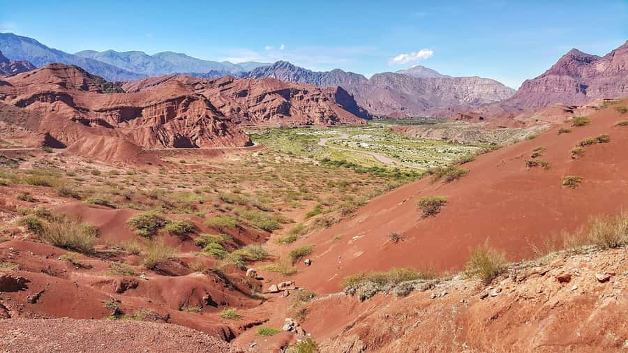 From Salta: Cafayate Day Trip with Wine Tasting - Price, group size, and what you receive