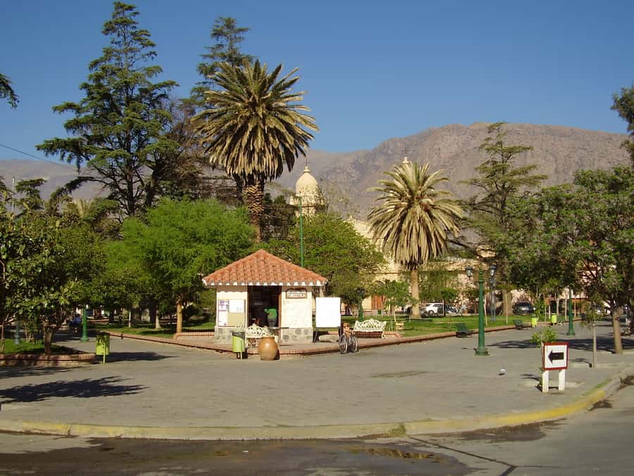 From Salta: Full-Day Tour to Cafayate with Wine Tasting - What the 17 to 23 seat minibus feels like