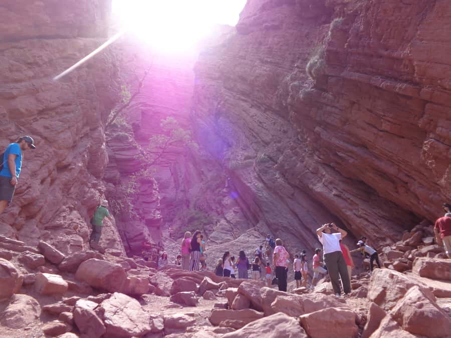 From Salta: Full-Day Tour to Cafayate with Wine Tasting - The Lerma Valley and tobacco country