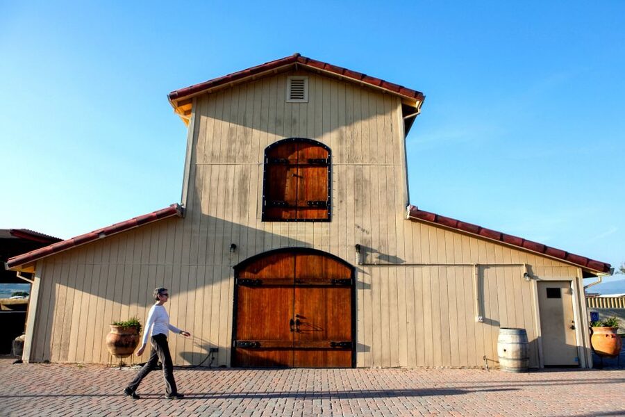 From San Francisco: Muir Woods & 3 Wineries in Napa & Sonoma - The mini-coach, pickup, and road time