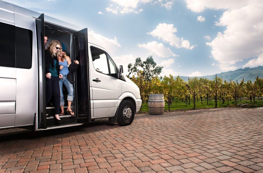 From San Francisco: Muir Woods & 3 Wineries in Napa & Sonoma - Muir Woods: one hour under the redwoods