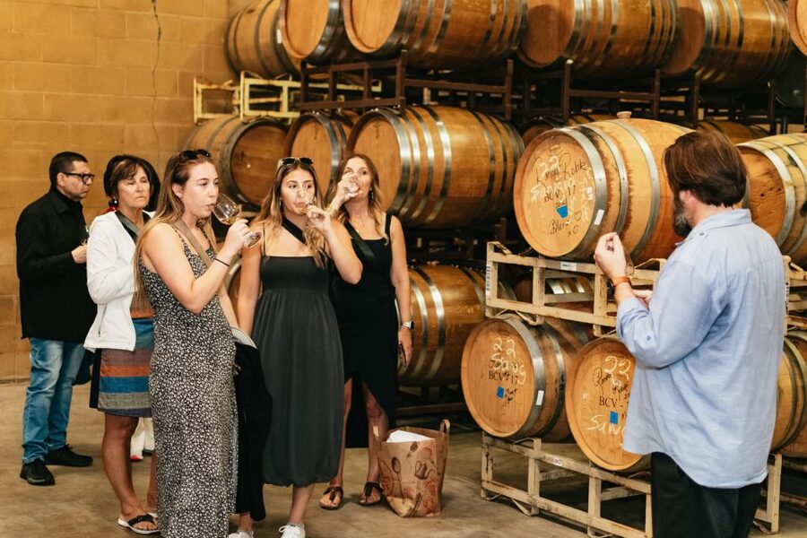 From San Francisco: Napa & Sonoma Valley Full-Day Wine Tour - Sonoma Square gives the day a needed pause