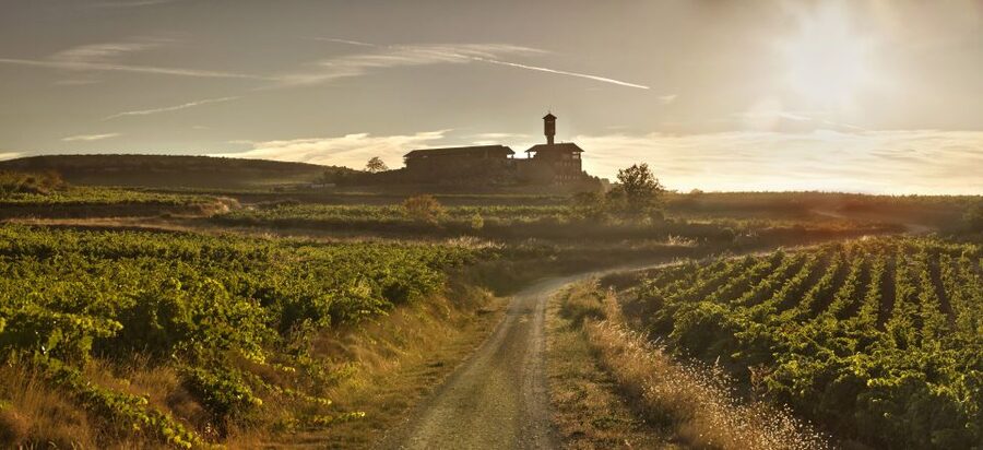From San Sebastian/Bilbao/Vitoria: La Rioja Wineries Tour - Key points at a glance