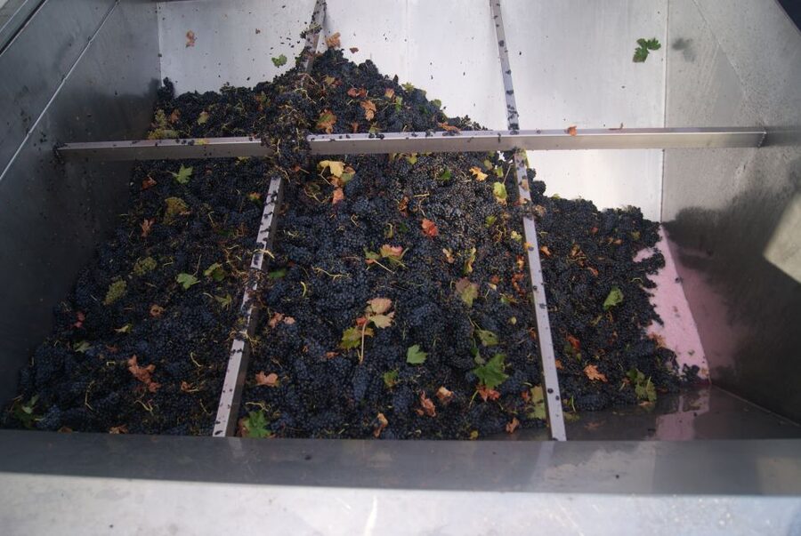 From San Sebastian/Bilbao/Vitoria: La Rioja Wineries Tour - Laguardia, the day’s best change of pace