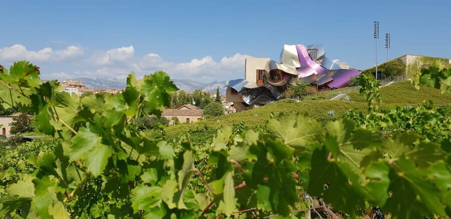 From San Sebastian/Bilbao/Vitoria: La Rioja Wineries Tour - The road from Basque Country to Rioja