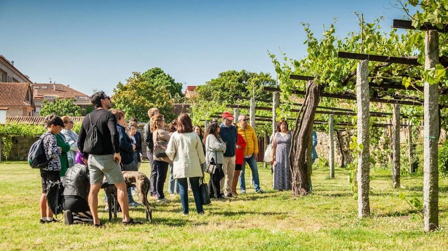From Santiago: Tour to Rias Baixas with Boat Trip and Winery - La Lanzada: a short stop with a mystical setting