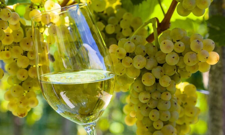 From Santiago: Tour to Rias Baixas with Boat Trip and Winery - O Grove: seafood, free time, and the working coast