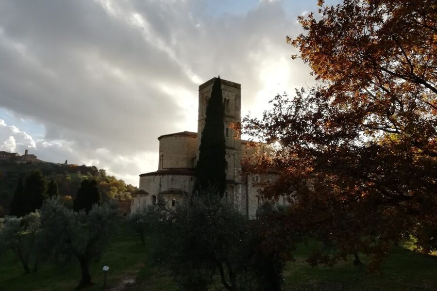 From Siena: Brunello di Montalcino Guided Wine Tour W/ Lunch - The first winery: vines, cellars, and the first Brunello tasting