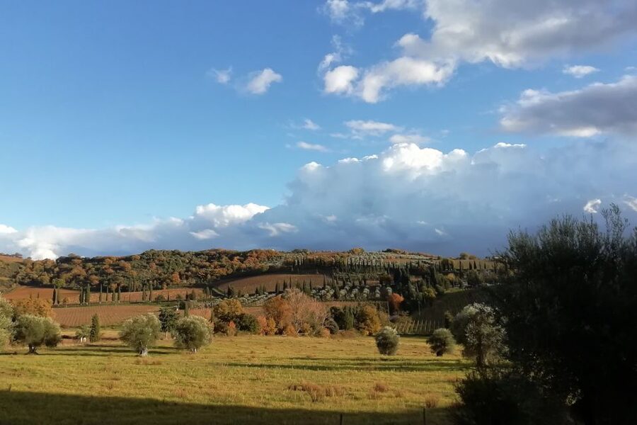 From Siena: Brunello di Montalcino Guided Wine Tour W/ Lunch - A family-run winery lunch