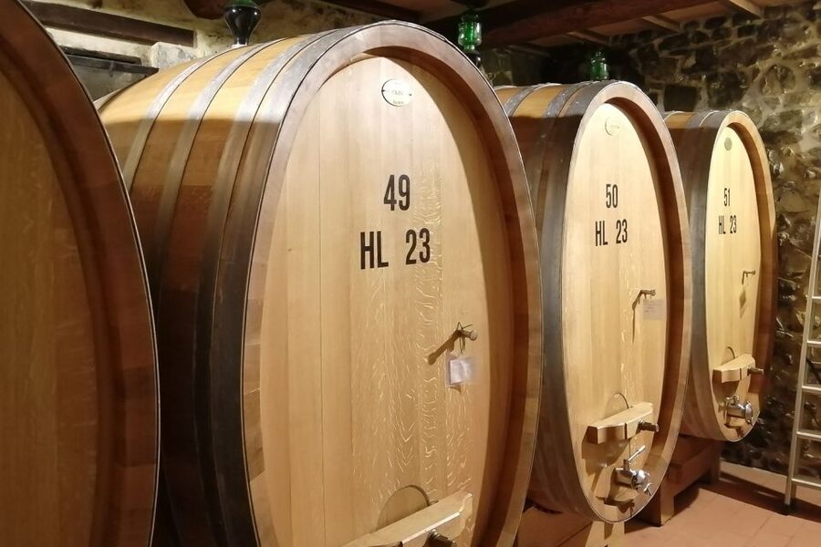 From Siena: Brunello di Montalcino Guided Wine Tour W/ Lunch - Sant’Antimo Abbey and a quieter side of Tuscany